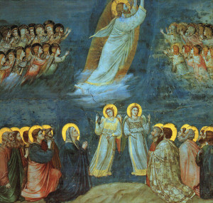 Ascensione Giotto